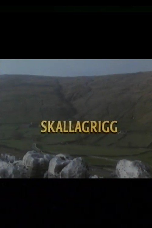 Постер Skallagrigg